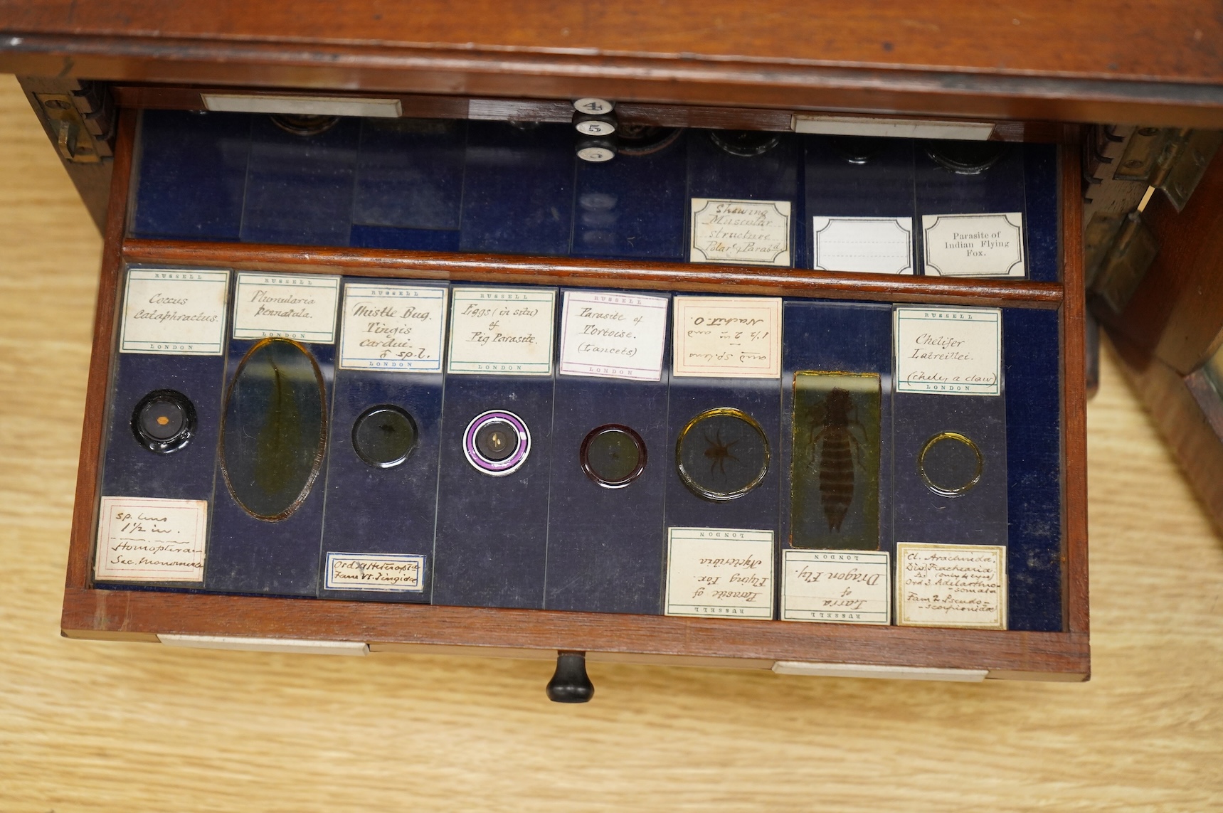 A 19th century mahogany cased slide box, fitted with 13 slide trays, housing approximately 290 slides of mineral, plant, animal and fossil specimens, 26cm wide, 19cm high, 29.5cm deep CITES Submission reference 514GC1XX